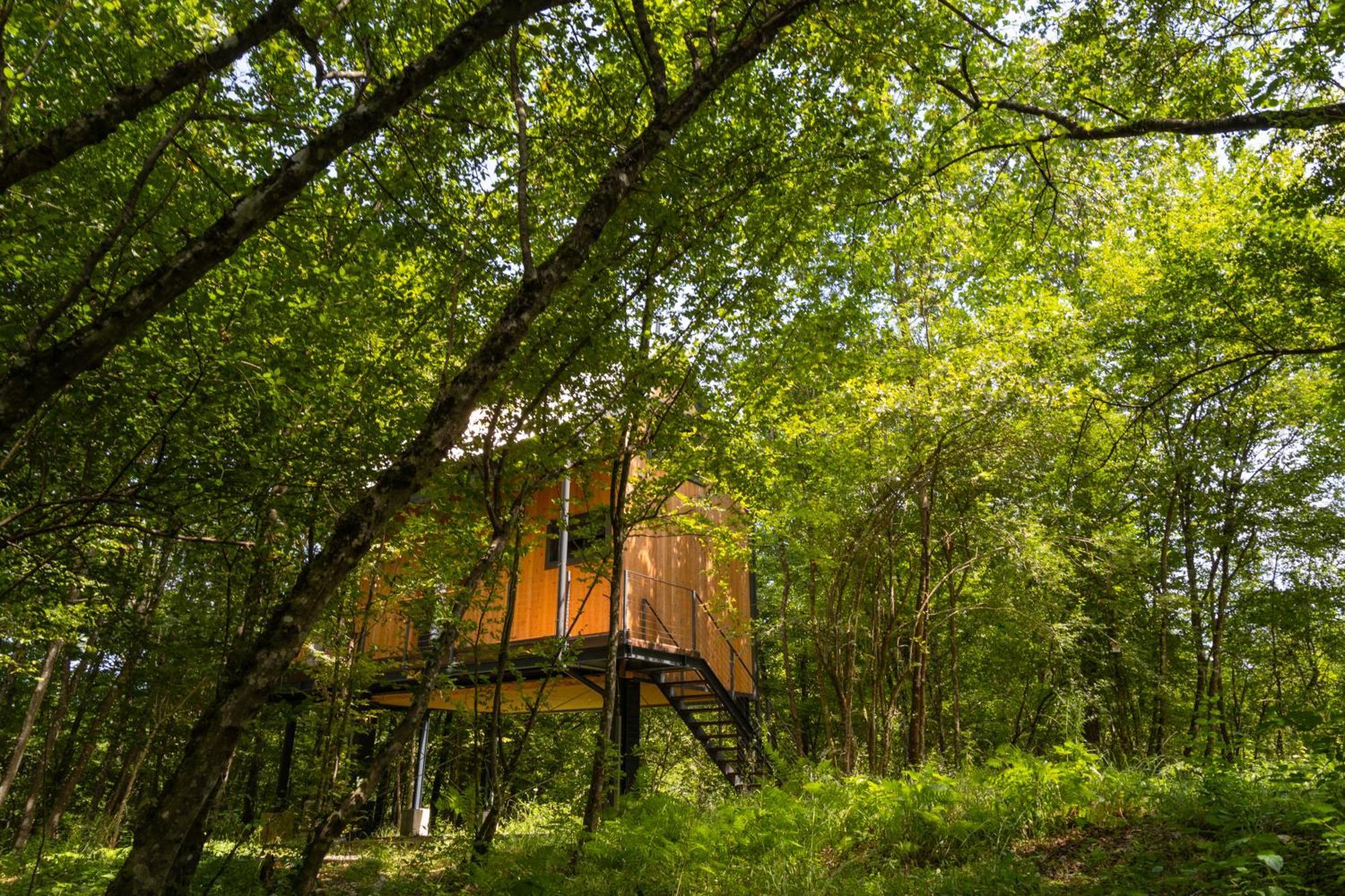 Appartamento Tree Elements Treehouse Retreat Slunj Esterno foto
