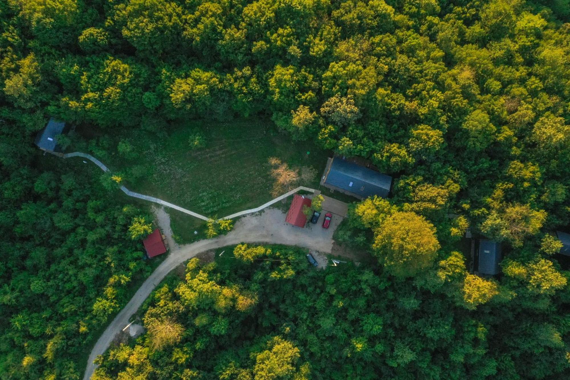 Appartamento Tree Elements Treehouse Retreat Slunj Camera foto